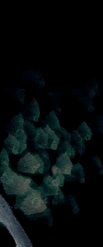 Untitled 02